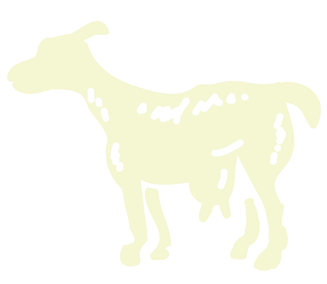 pittogramma